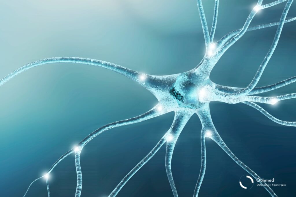 Neurony