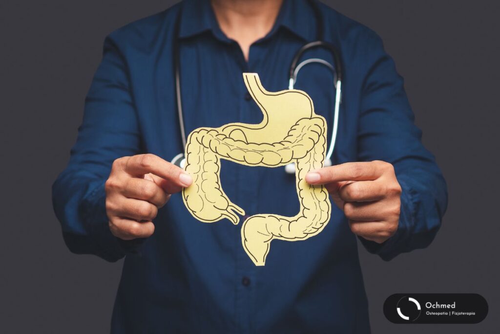 Lekarz modelem 2D jelit. Zaparcia - czy brzuch wpływa na plecy